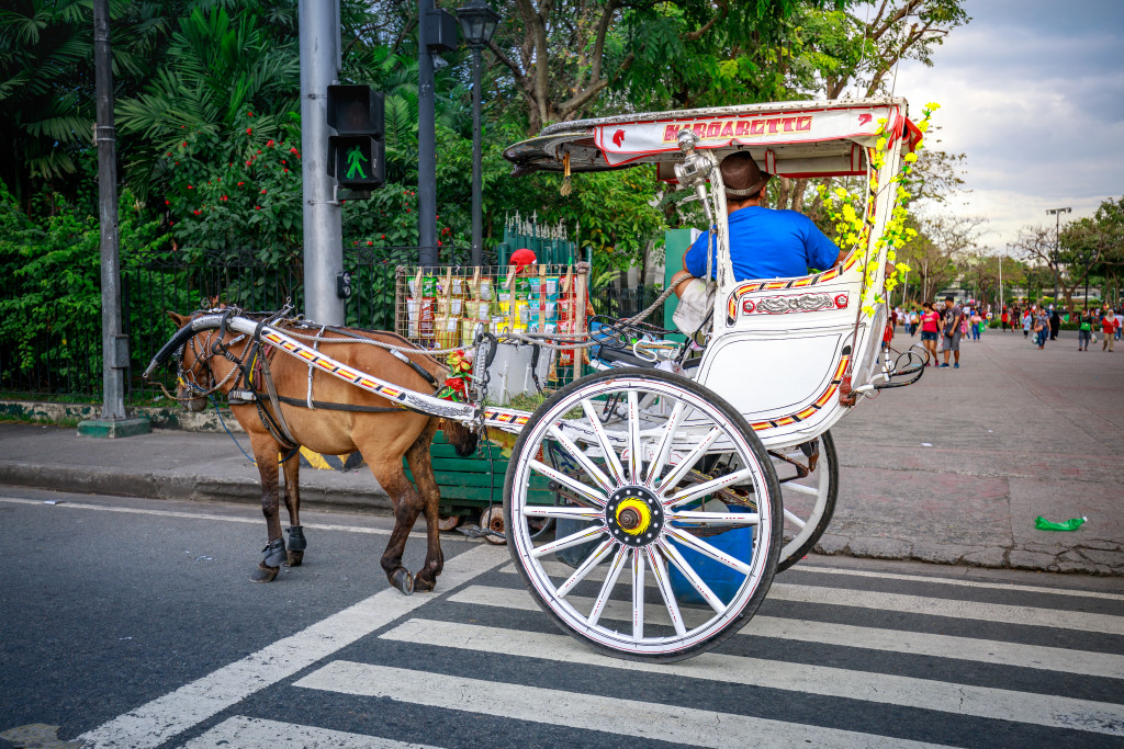 Horse with carriage