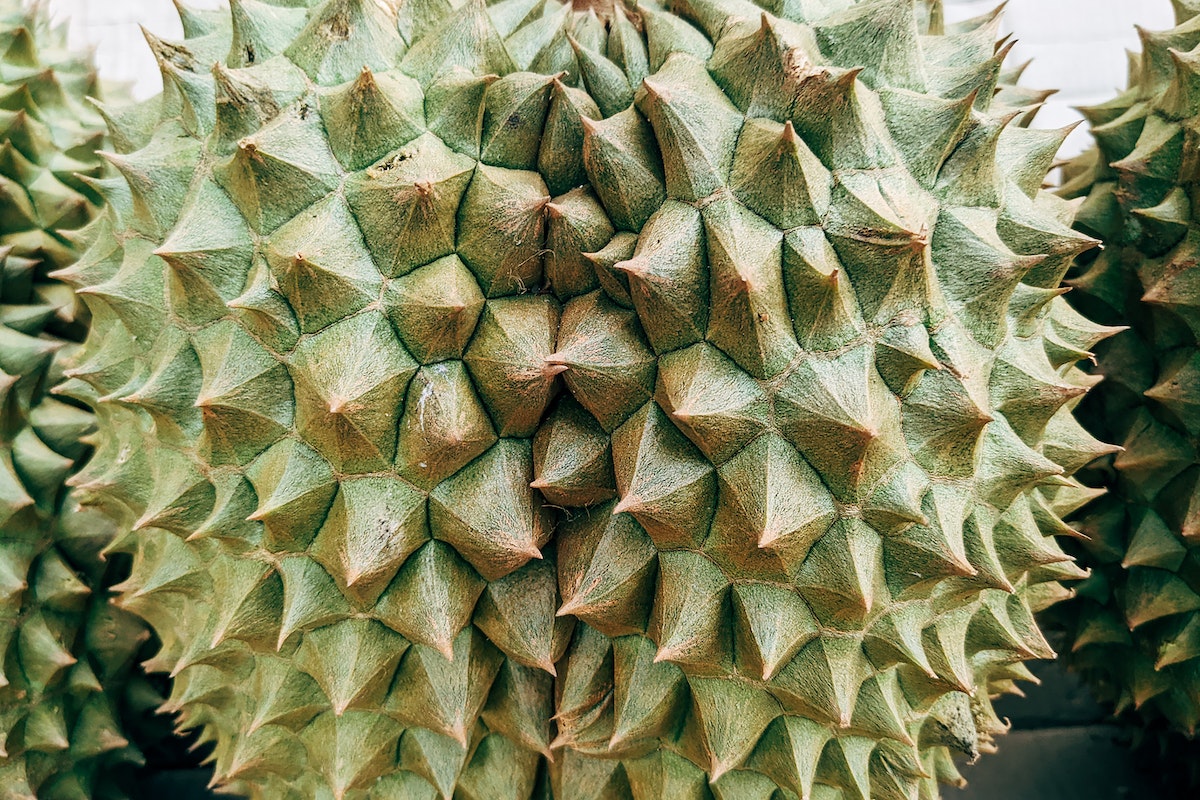close up shot of spiky durian